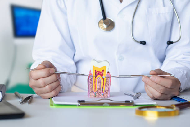 Best Emergency Dentist for Knocked-Out Tooth in Kalkaska, MI